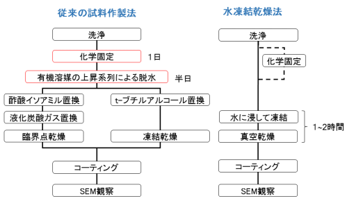 ○○○○○○○○イメージ